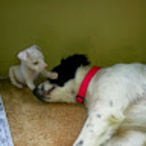 Meet your Posher, Tammy